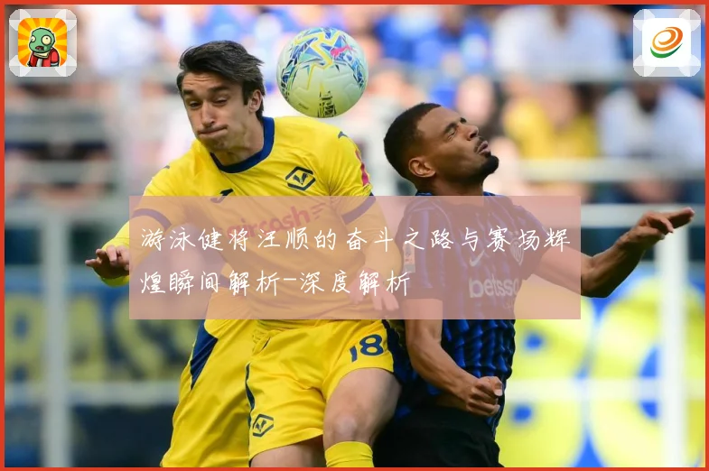 游泳健将汪顺的奋斗之路与赛场辉煌瞬间解析-深度解析